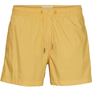 Knowledge Cotton Apparel Solid 50171 Bay Swimshorts