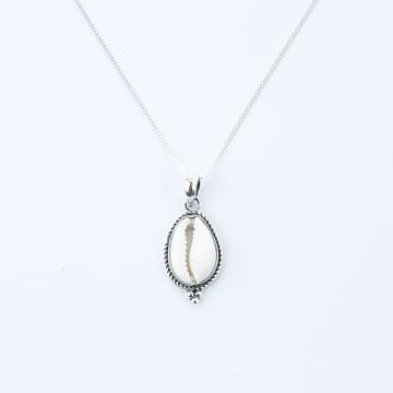 Bon Bon Fistral Cowrie Necklace