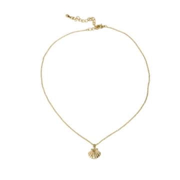 Sept Cinq Gold Brass Shell Necklace In Gold/gold