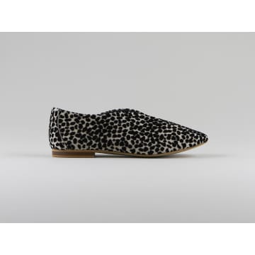 Sms Brunilde Ballerinas In Leopard Velvet In Animal Print