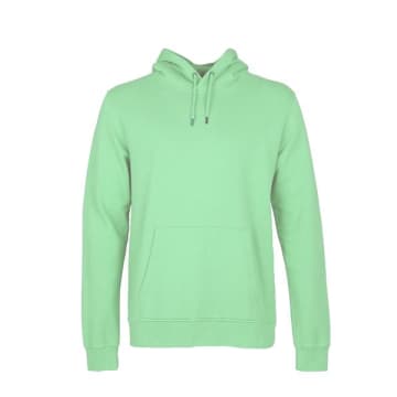 Colorful Standard Faded Mint Hood In Green