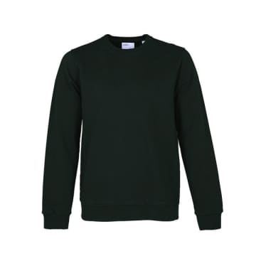 Colorful Standard Crew Sweat Hunter Green