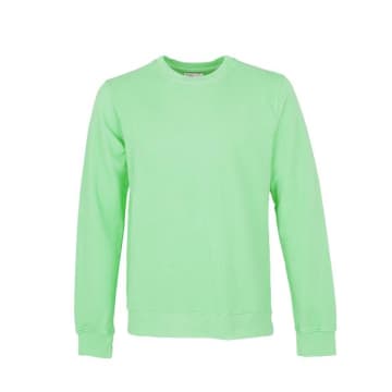 Colorful Standard Mint Crew Sweat Faded In Green