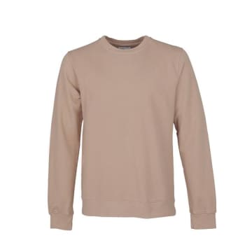 Colorful Standard Desert Khaki Crew Sweat In Neutrals