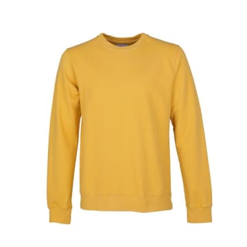 Colorful Standard Crew Sweat Burned Yellow