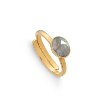 Svp Jewellery Labradorite Atomic Mini Adjustable Ring In Gold
