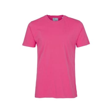 Colorful Standard Classic Tee Bubblegum Pink