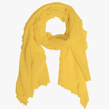 Pur Schoen Sun Hand Felted Cashmere Soft Scarf + Gift In Yellow