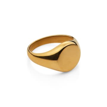 Nordic Muse Gold Round Signet Ring, 18k Tarnish-free Waterproof Gold