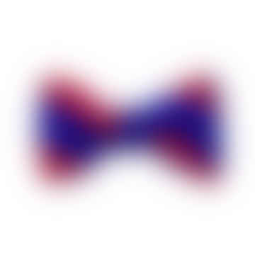 Club Striped Silk Butterfly Bow Tie