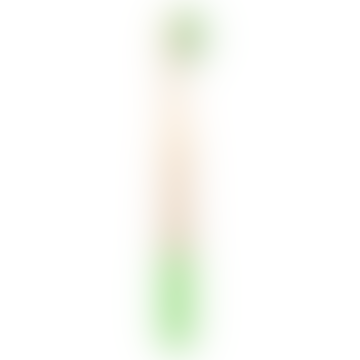 Green Adult Bamboo Toothbrush With Bamboo Handle 