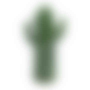 Mittelgroße, sattgrüne Kaktusvase