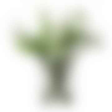 Florero de columna de 24 cm / candelabro