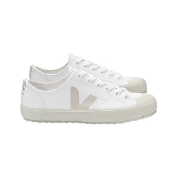 veja nova white dried petal