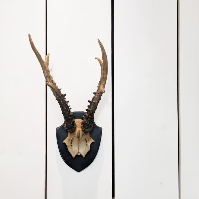 Trouva Faux Deer Antlers On Plaque