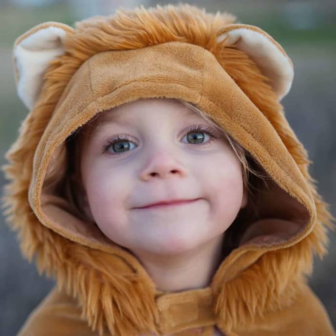 Trouva: Lion Costume Cape for 18 to 36 Months