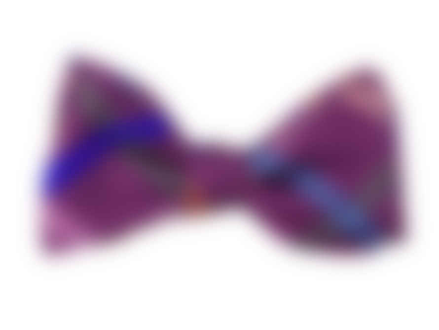 40 Colori Crisscross Printed Silk Butterfly Bow Tie