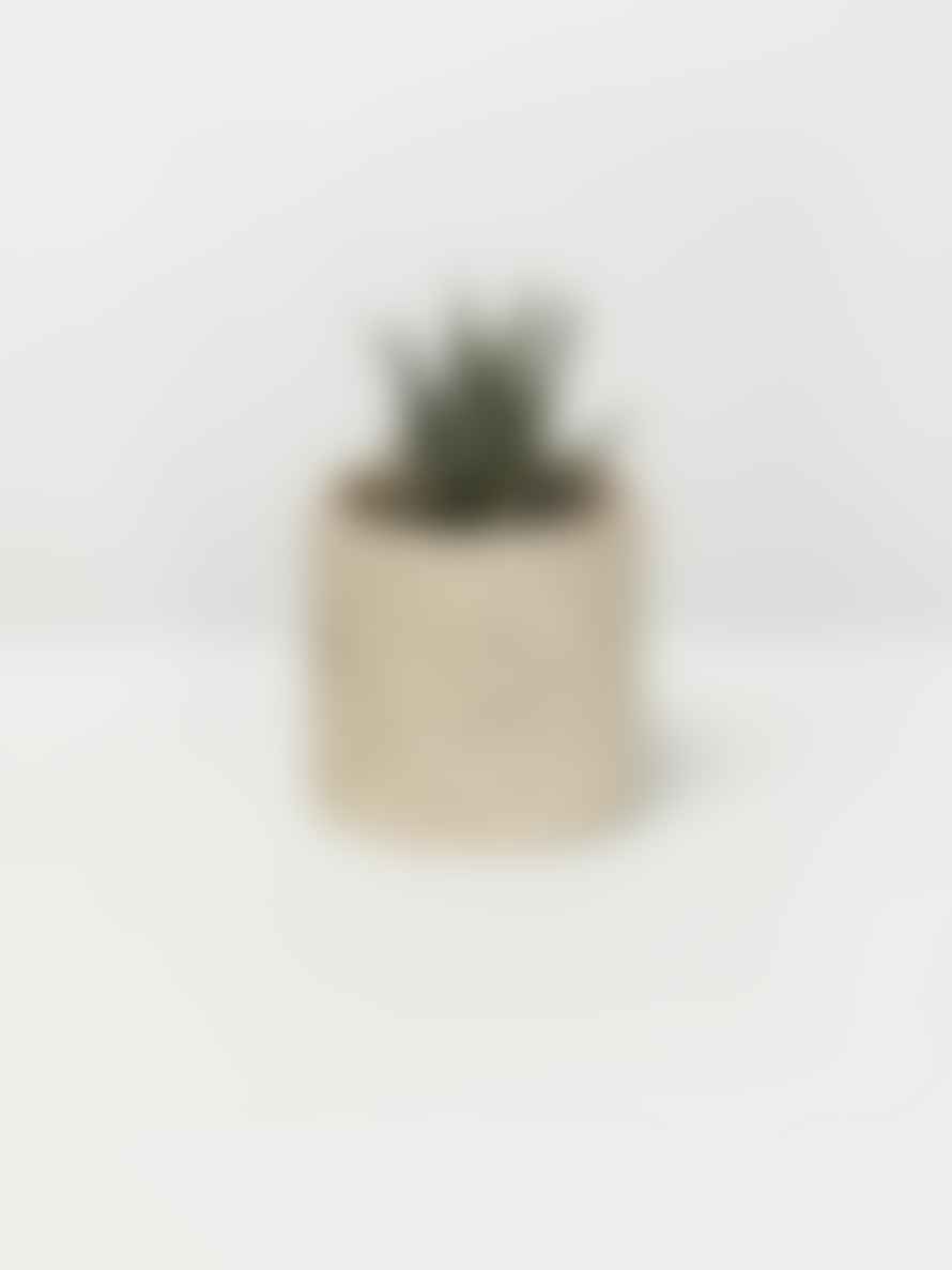Ella Hookway Small Plant Pot