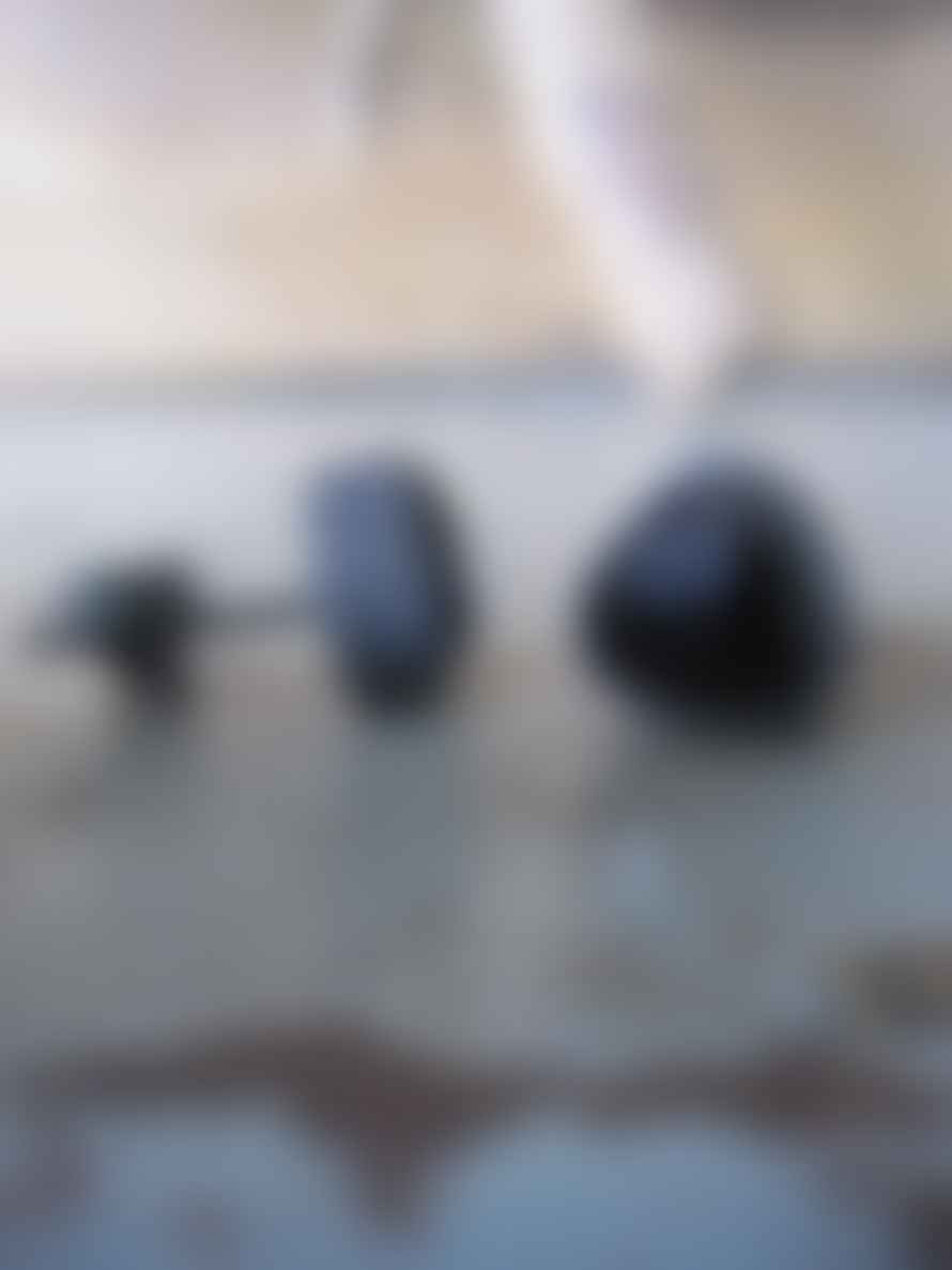 CollardManson 925 Black Silver Earrings 