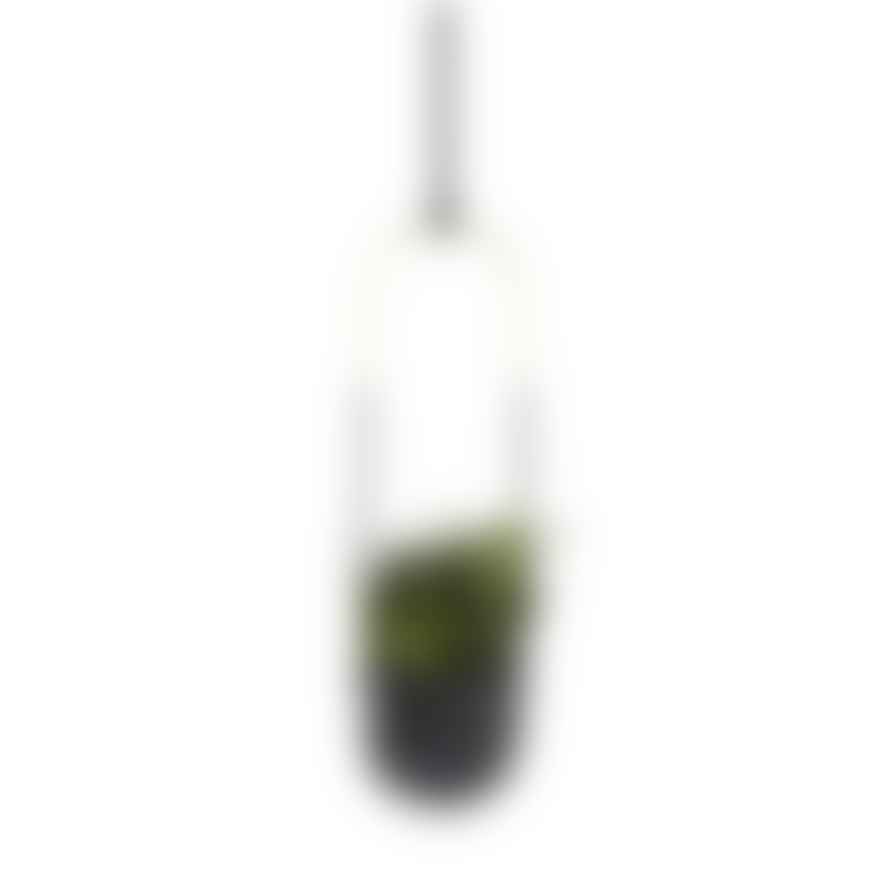 Umbra Black Bolo Hanging Planter