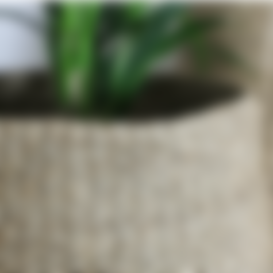 Nkuku Medium Seagrass Basket