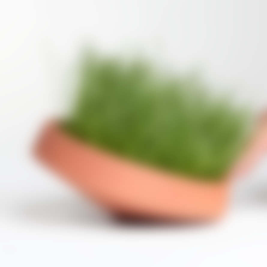 Wearelivingthings Green Dot Flower Pot