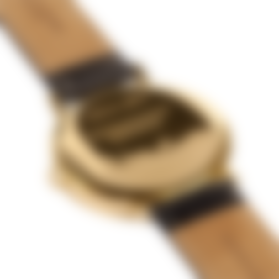 Larsen & Eriksen Gold Black 37 mm Absalon Watch