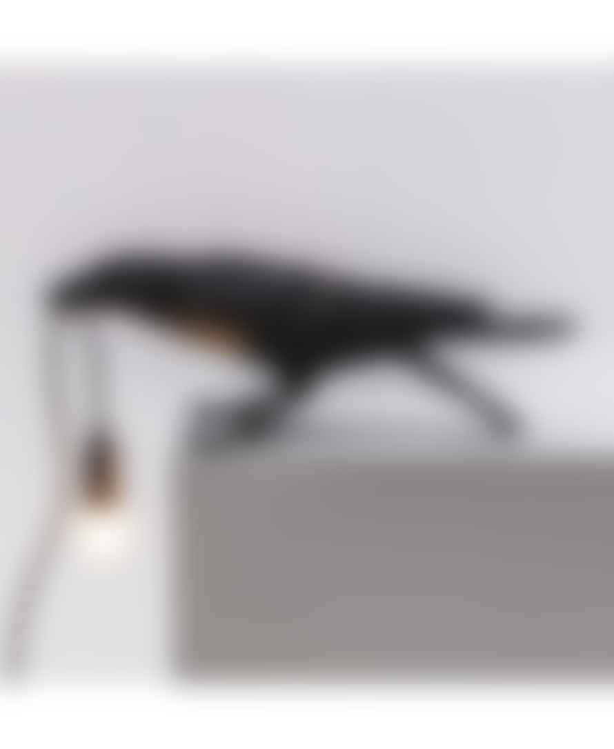 Seletti Black Resin Bird Playing Lamp