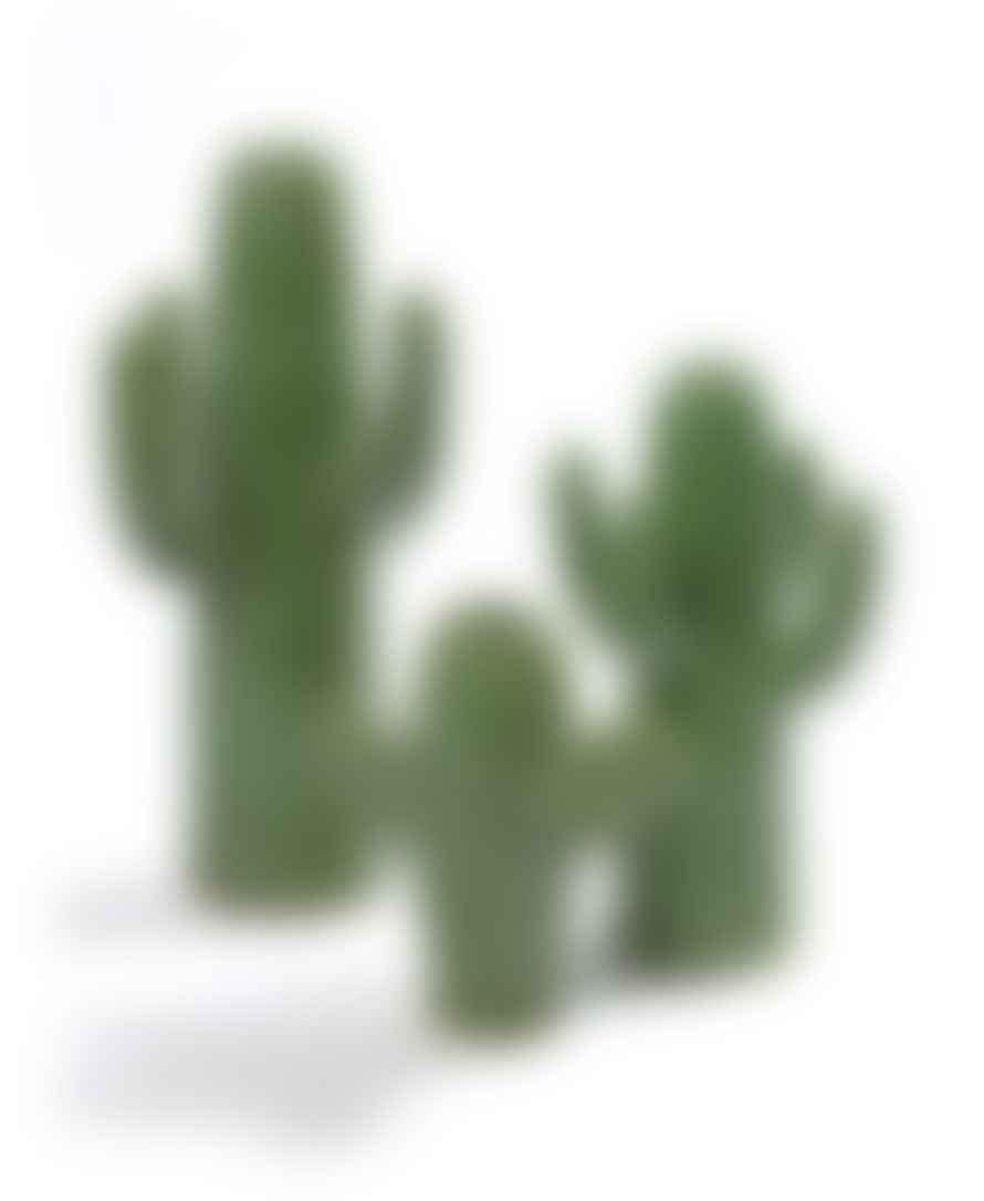 Serax Large Cactus Vase