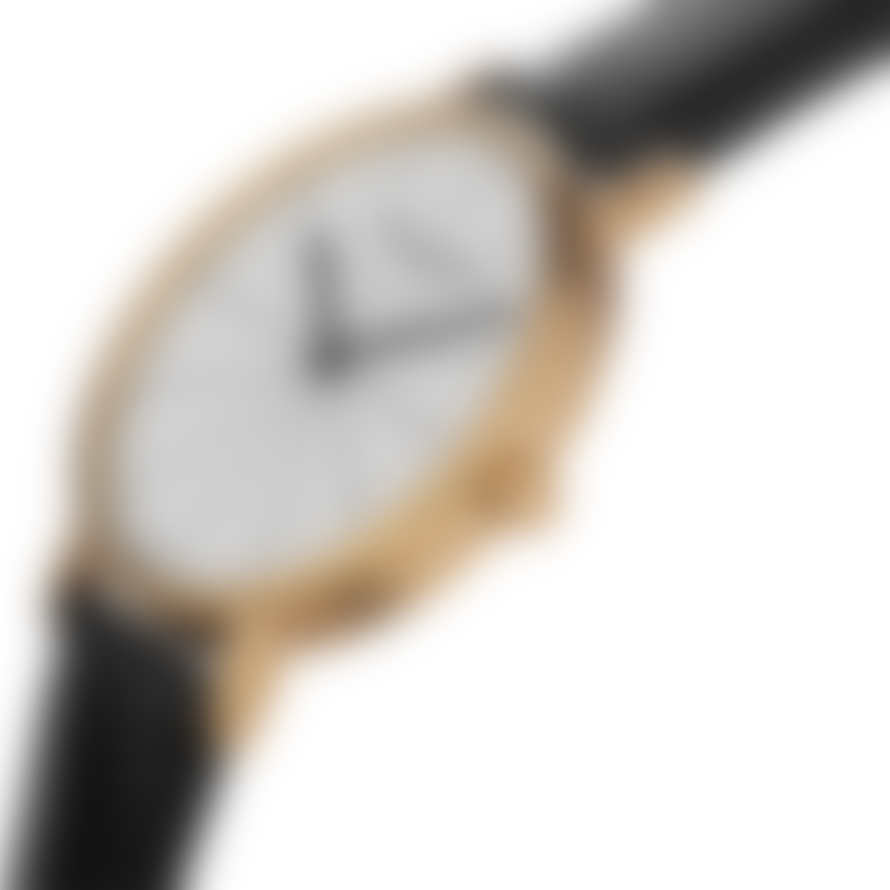 Larsen & Eriksen Gold White Black 37mm Absalon Watch