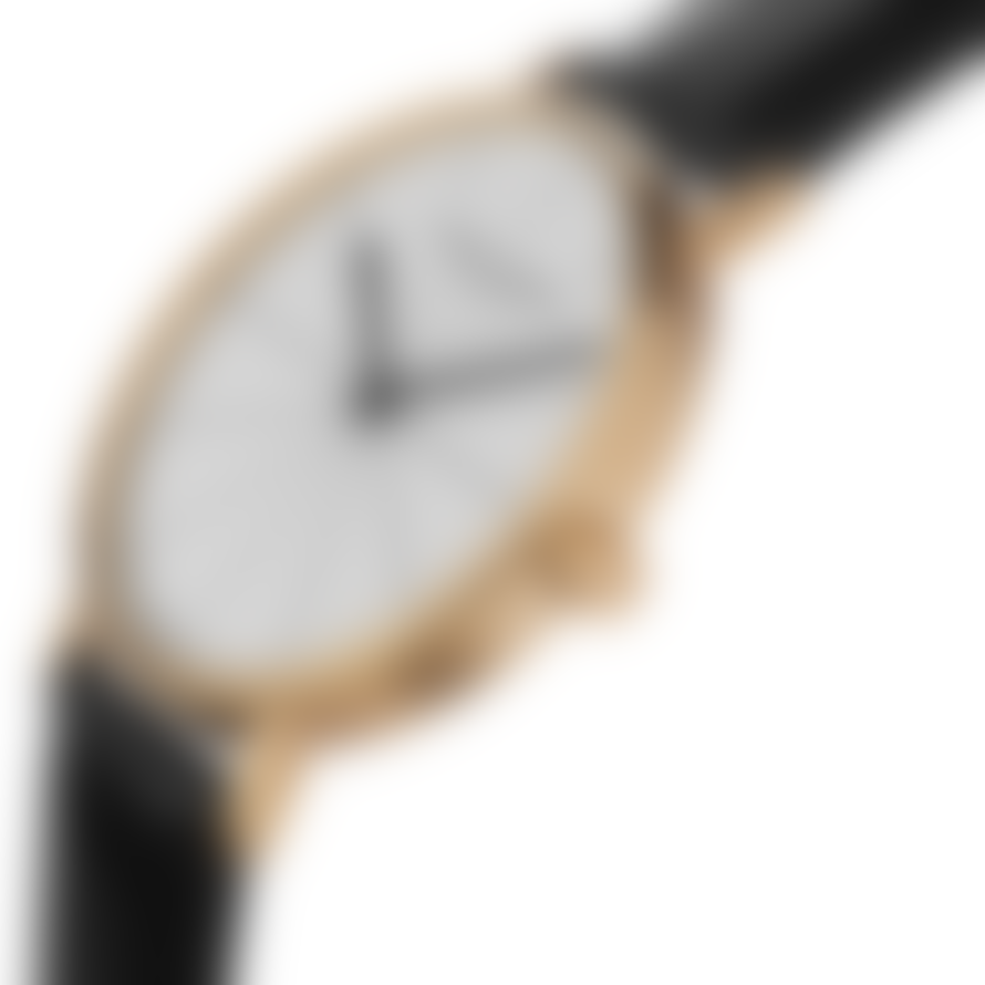 Larsen & Eriksen Gold White Black 41mm Absalon Watch