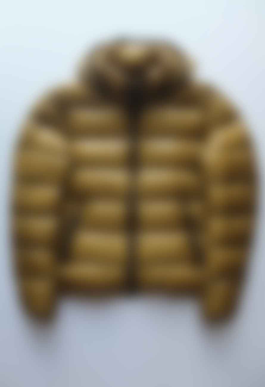 Herno Yellow Quilted Jacket In 7 Den 