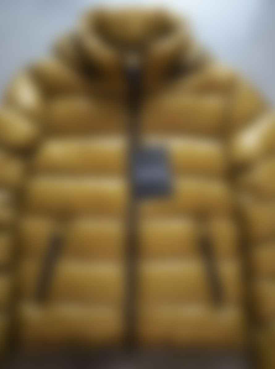 Herno Yellow Quilted Jacket In 7 Den 