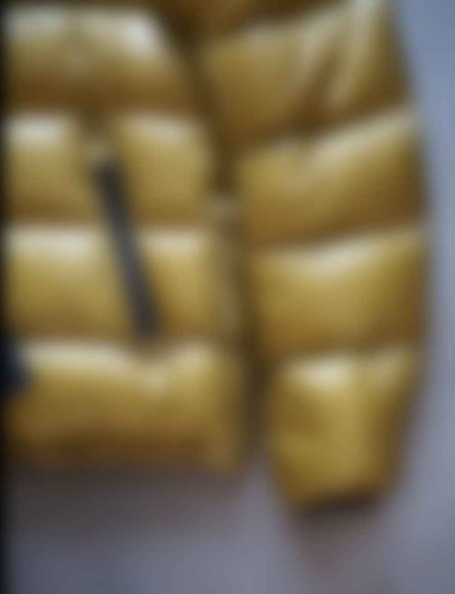 Herno Yellow Quilted Jacket In 7 Den 