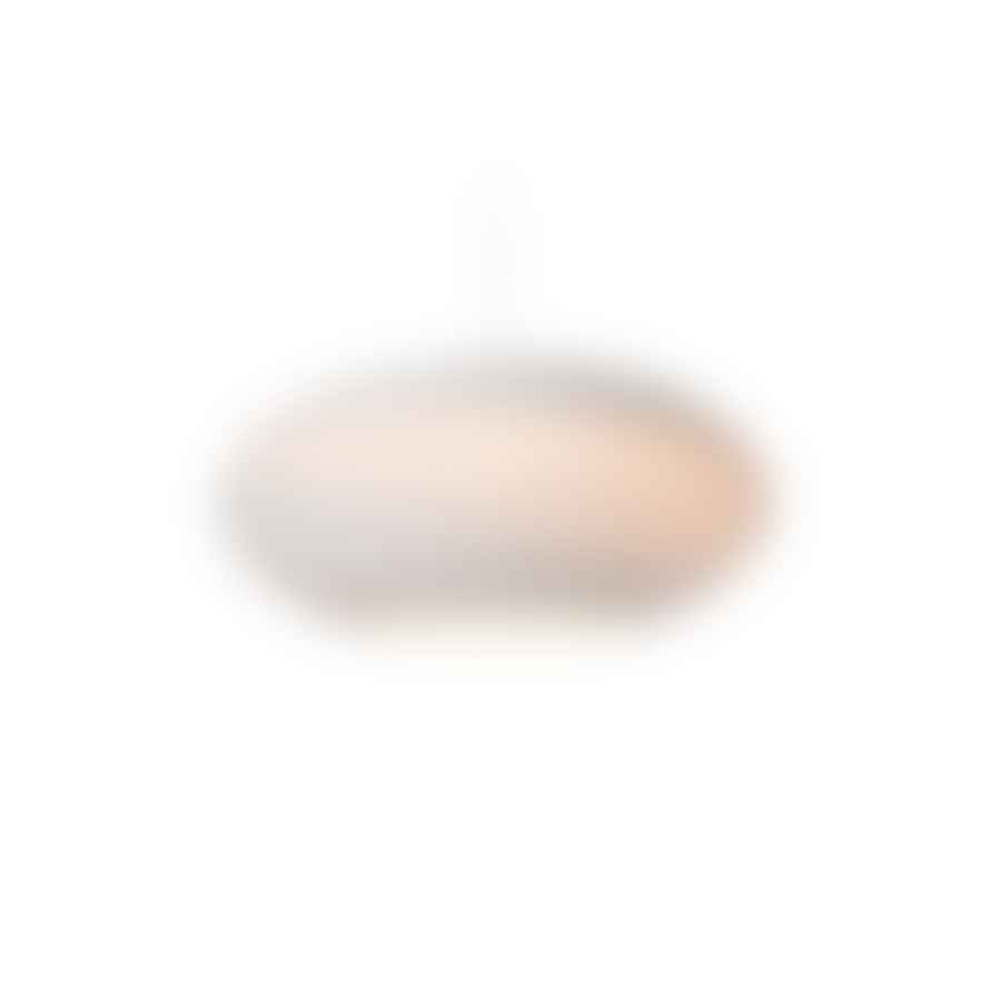 Graypants Scraplights Disc Pendant Light White