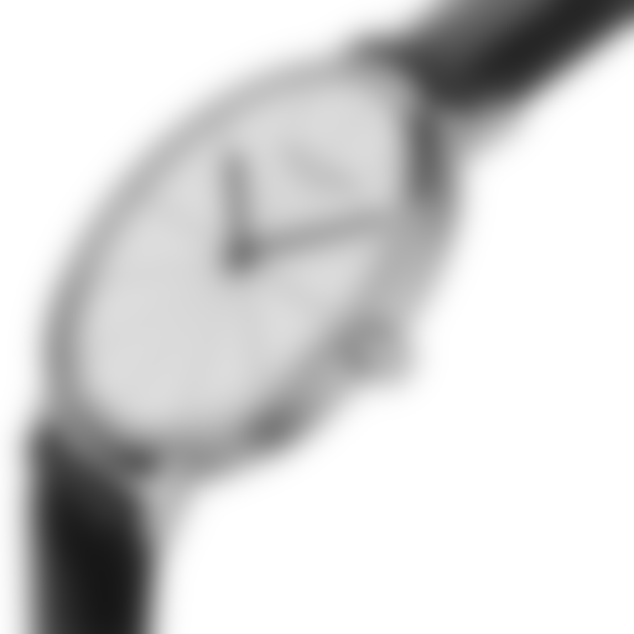 Larsen & Eriksen Silver White Black 41 mm Absalon Watch