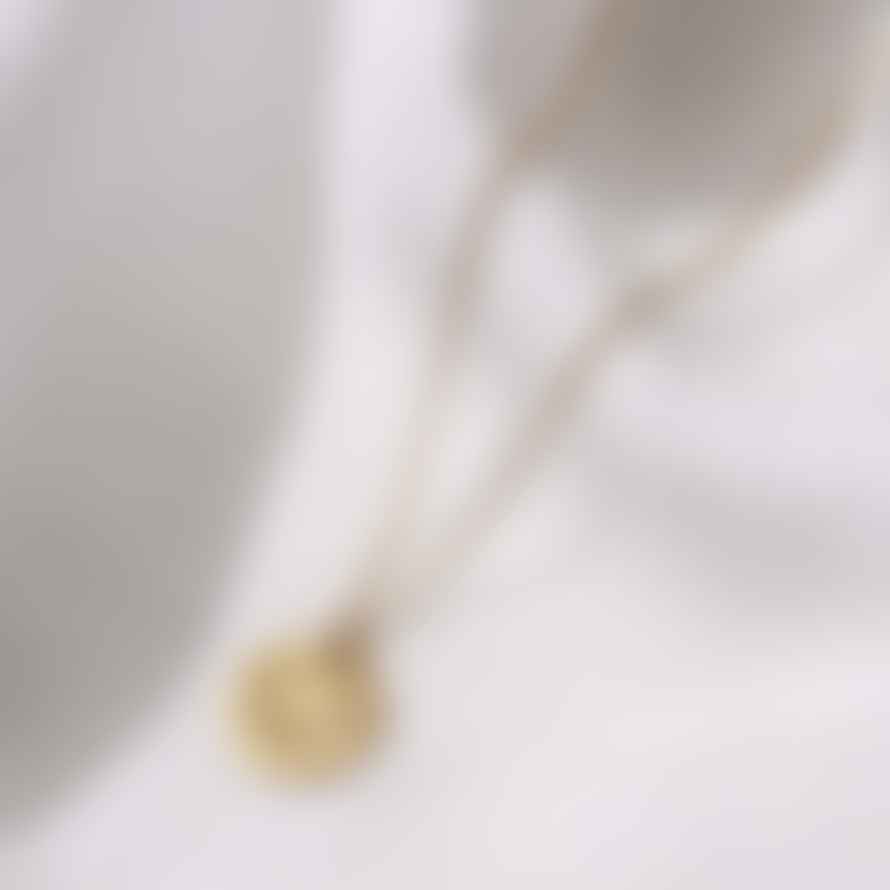 Posh Totty Designs 18ct Gold Plate Sand Dollar Necklace