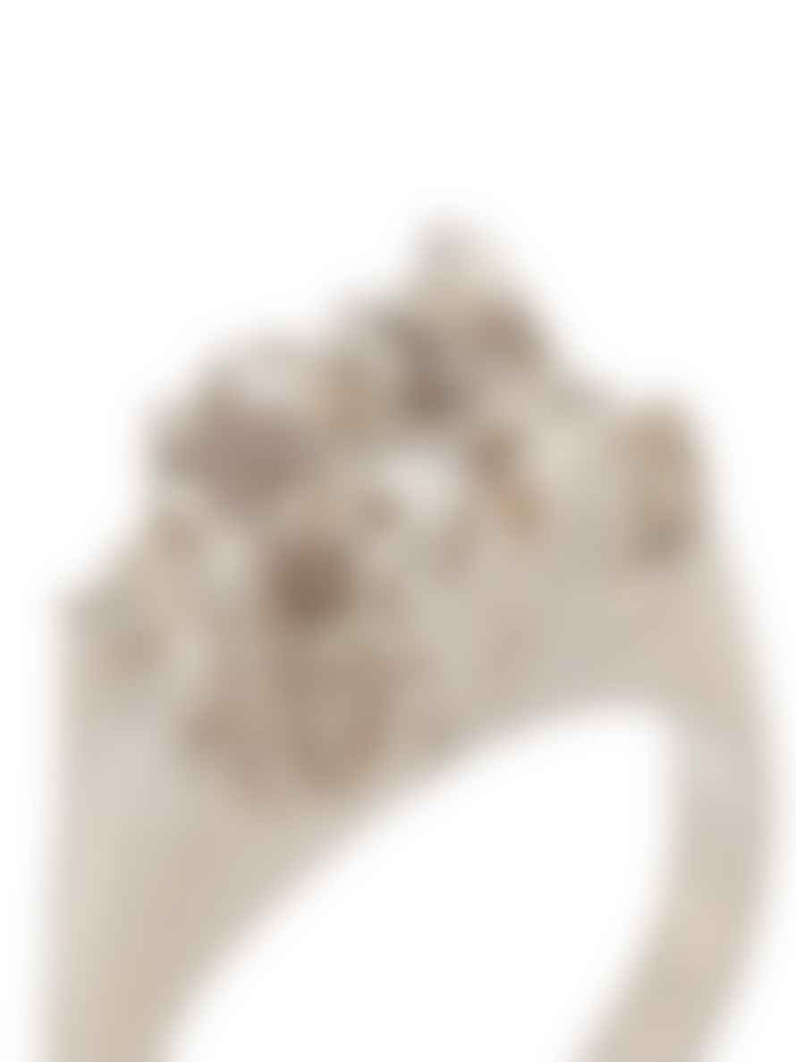 Niza Huang Under Earth Half Texture ring - Silver