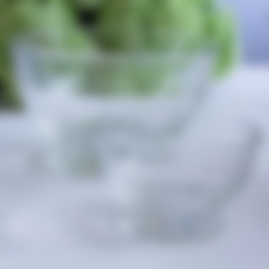 La Rochere La Rochere Perigord Glass Bowls Small - Set of 4