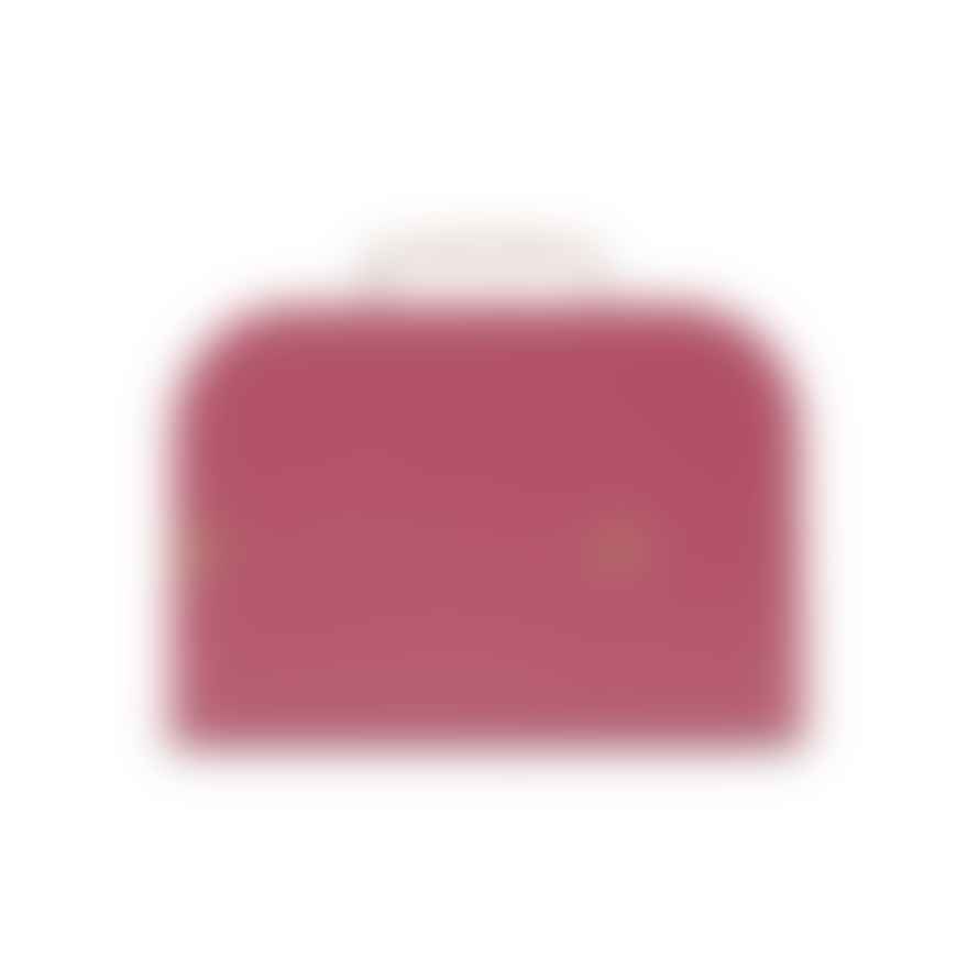 Bonton Medium Raspberry Carton Suitcase Bag