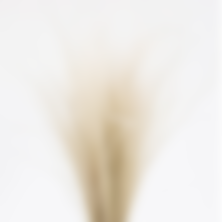 Little Deer Dried Natural Stipa Penata Feather Grass