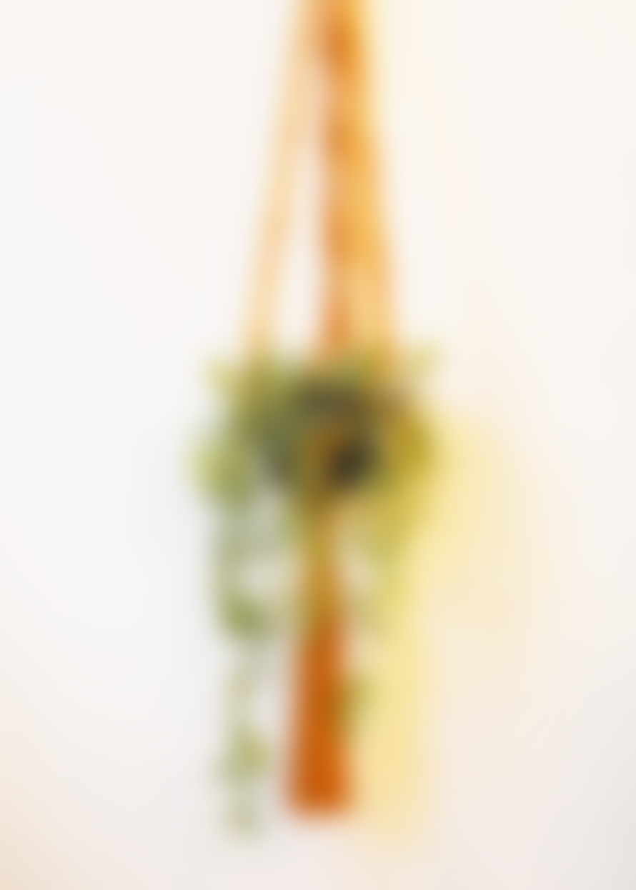 Cuemars Sustainable Cotton Macrame Plant Hanger Mustard