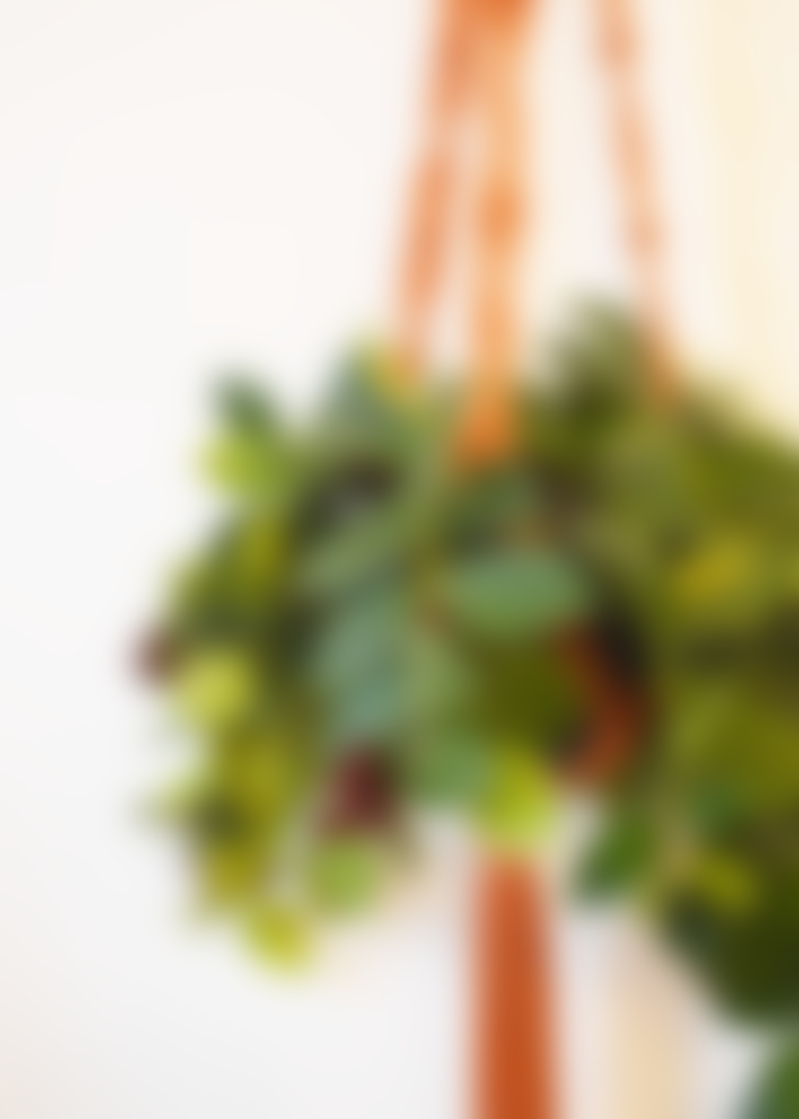 Cuemars Sustainable Cotton Macrame Plant Hanger Terracotta