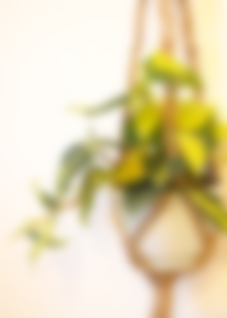 Cuemars Sustainable Cotton Macrame Plant Hanger Coffee