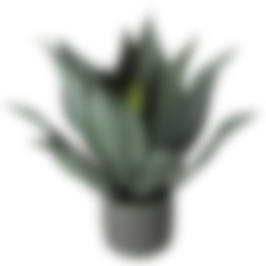 Barnbury Home Faux Potted Aloe