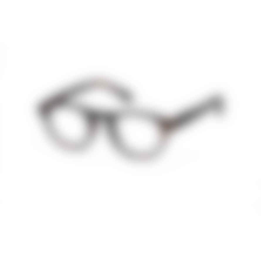 Izipizi Paris Tortoise #A Reading Glasses