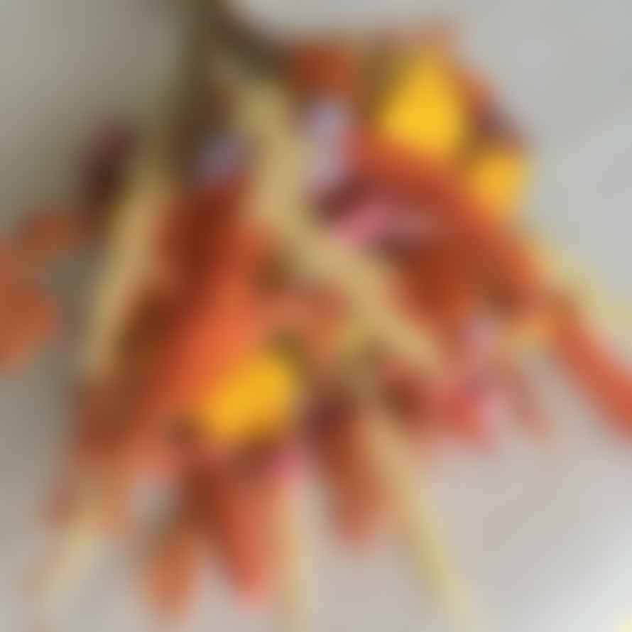 Pompon Bazar Orange Bouquet of Dried Flowers