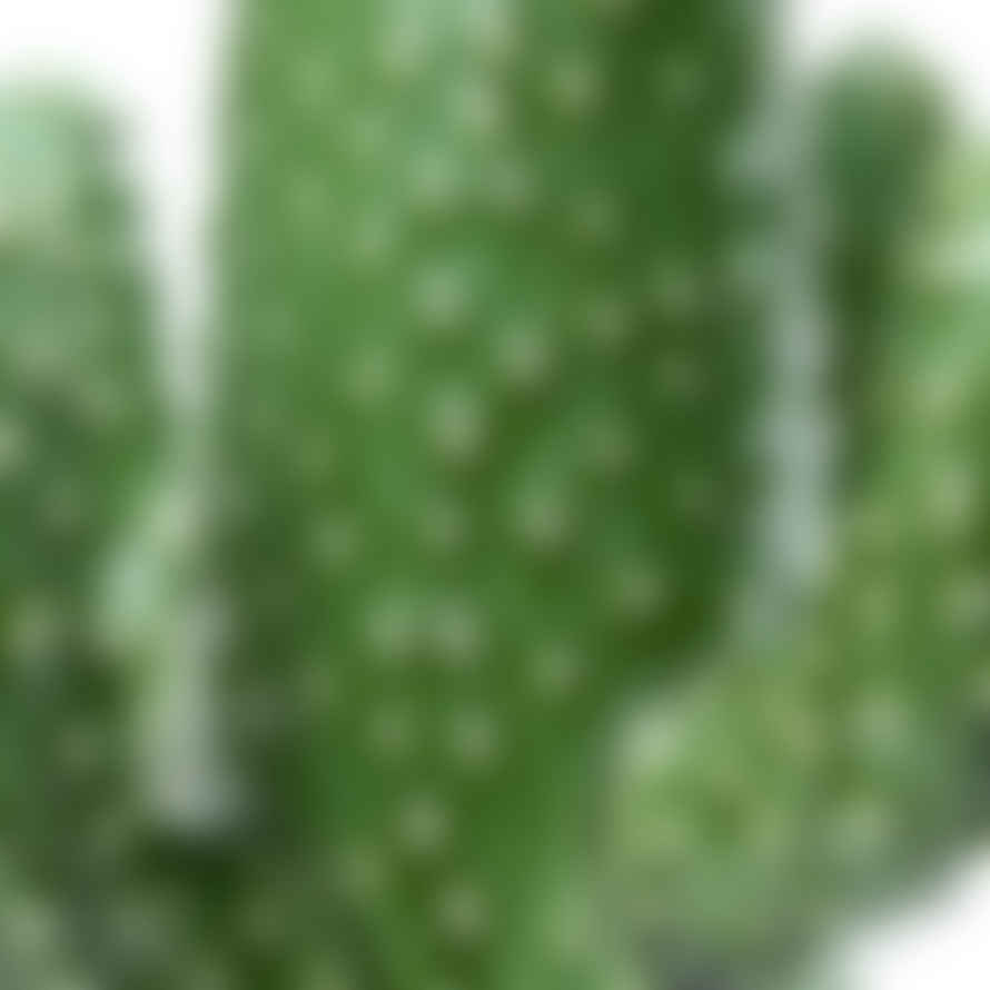 Serax Medium Rich Green Cactus Vase