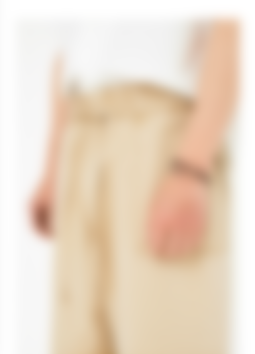 Partimento Washing Wrinkle Wide Pants in Beige