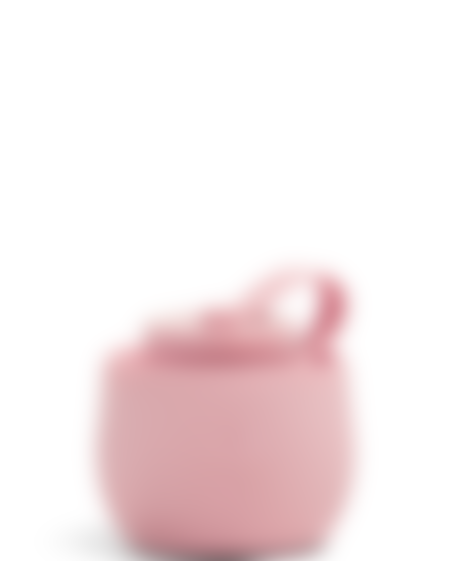 Stojo Pink Silicone Carnation Collapsible Bottle